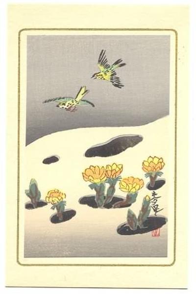 Bird and flowers in snow 2