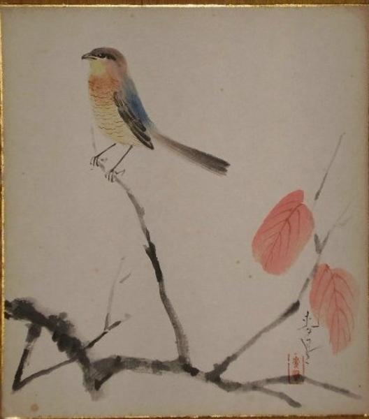 Bird on branch