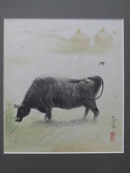 Black Cow