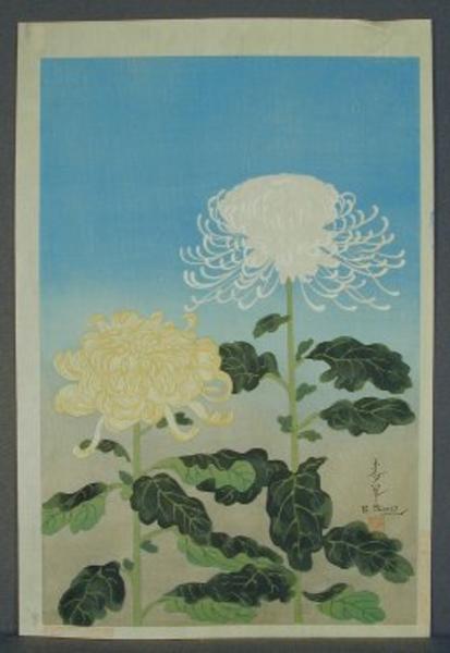Chrysanthemums- Type 1- Variant 2