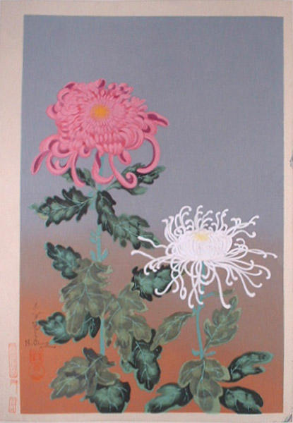 Chrysanthemums- Type 2