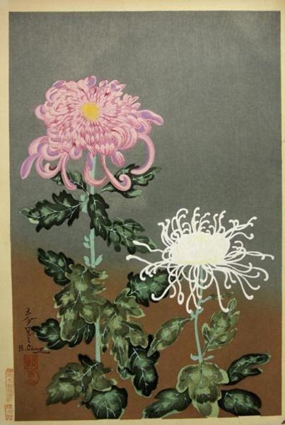 Chrysanthemums- Type 2