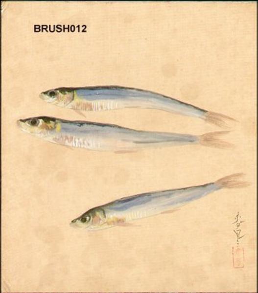 Dried anchovies