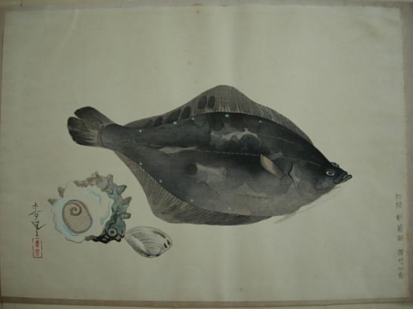 Flounder
