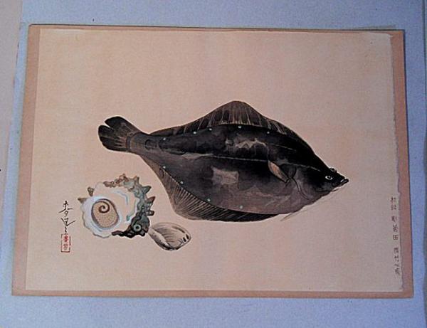 Flounder