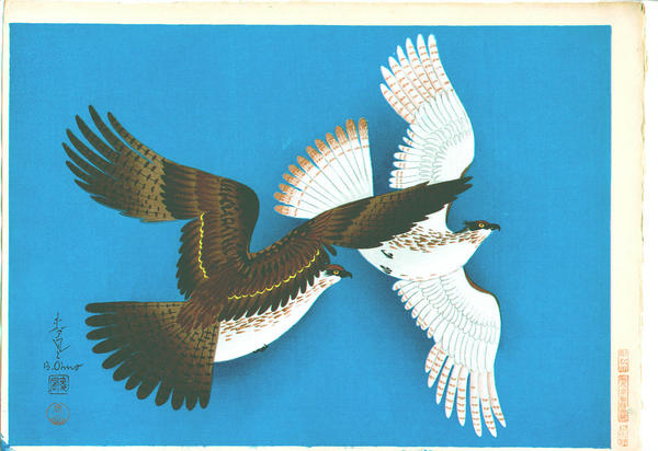 Hawks