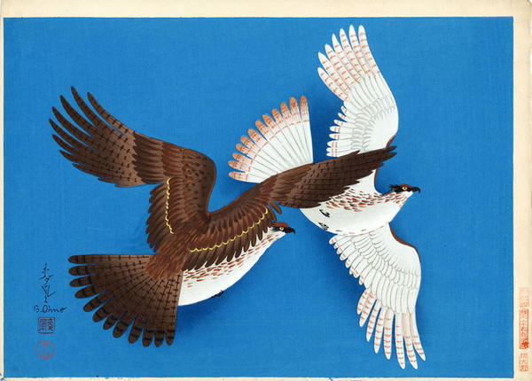 Hawks