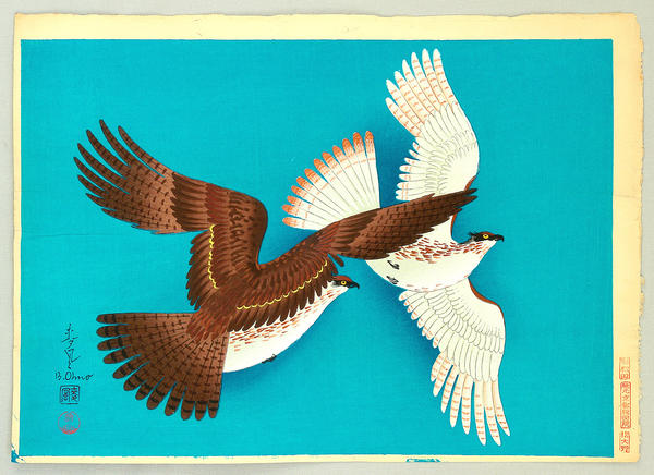 Hawks
