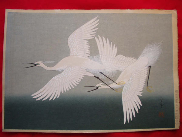 Herons