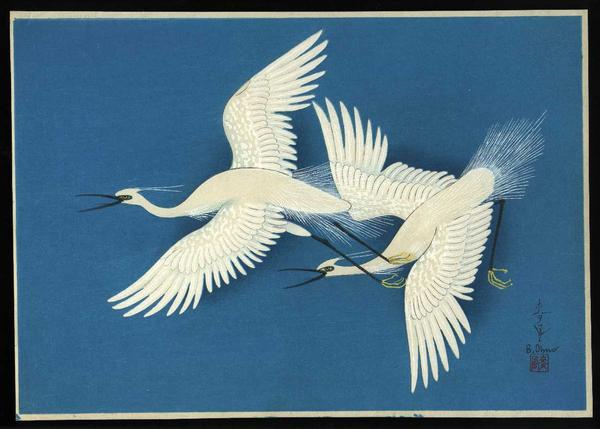 Herons