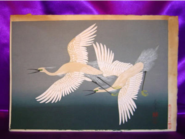 Herons