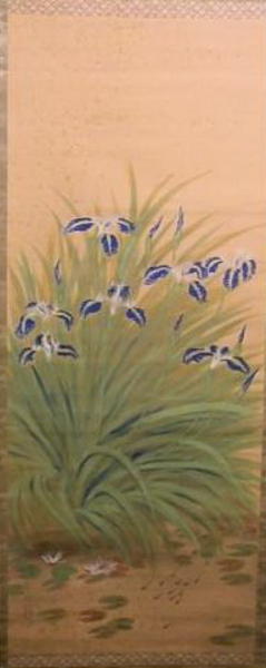Iris
