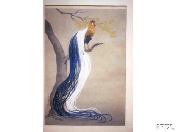 Long Tail Cock