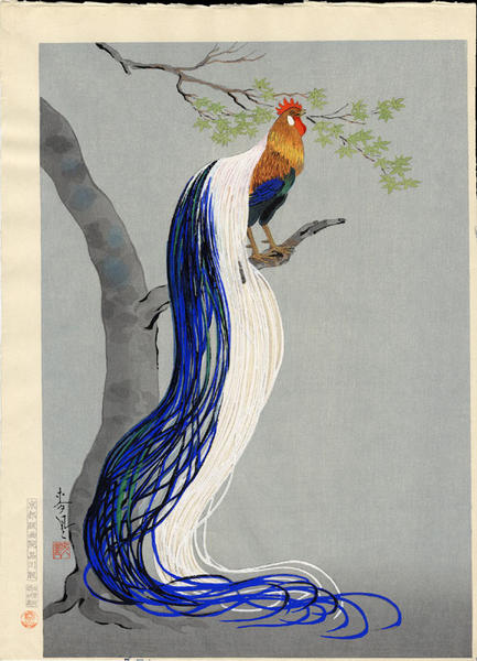 Long Tailed Cock
