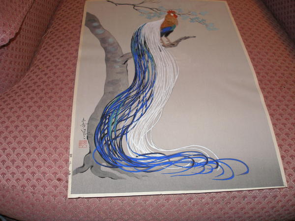Long Tailed Cock