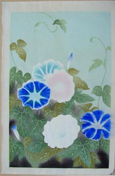 Morning Glory