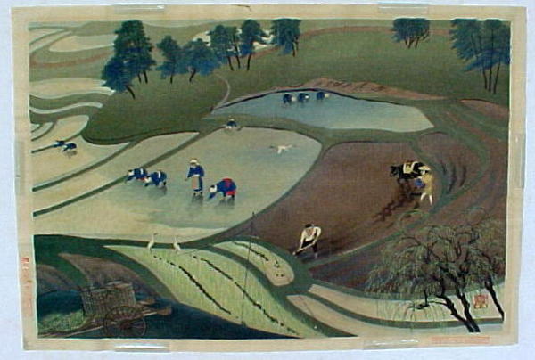 Rice Planting in Rain