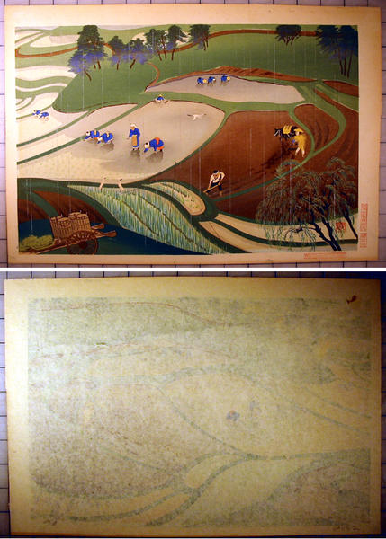 Rice Planting in Rain