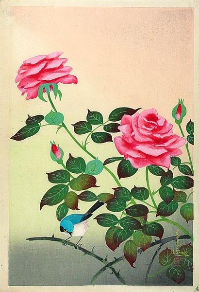 Red Rose