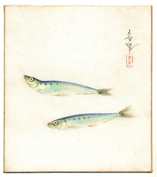 Sardines