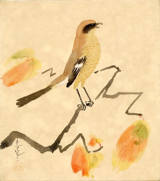 Singing Bird in a Persimmon Tree