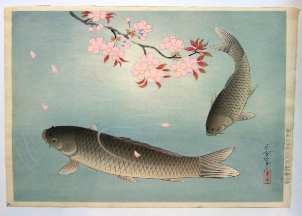 Sakura and Black Carp