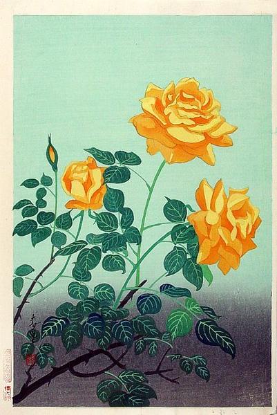 Yellow Rose