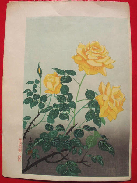 Yellow Rose