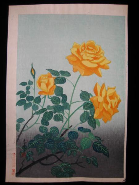 Yellow Rose
