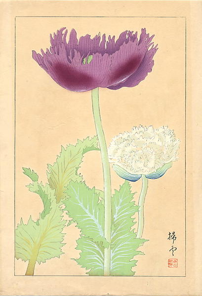 Flowers of Japan 2