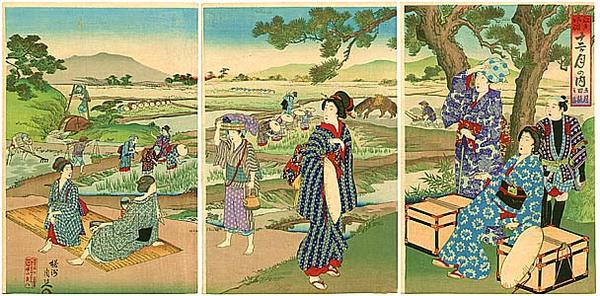 May- View of rice planting