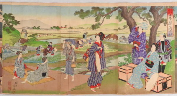 May- View of rice planting