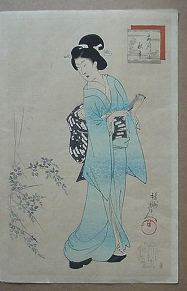 Bijin observing flowers