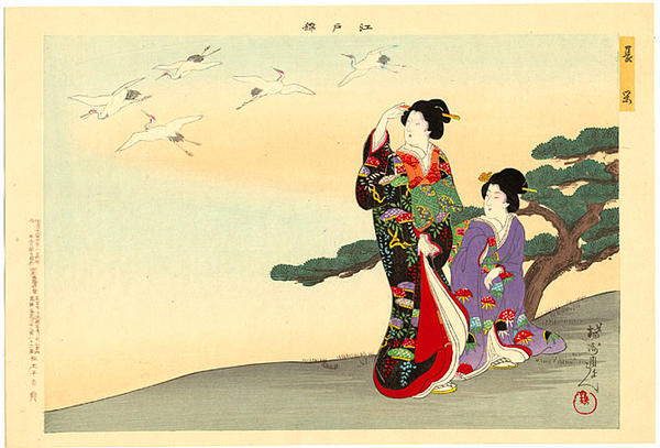 Women watching flying cranes