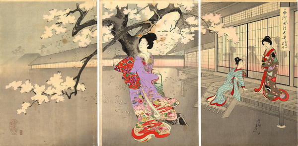 Beauties and Night Blossoms
