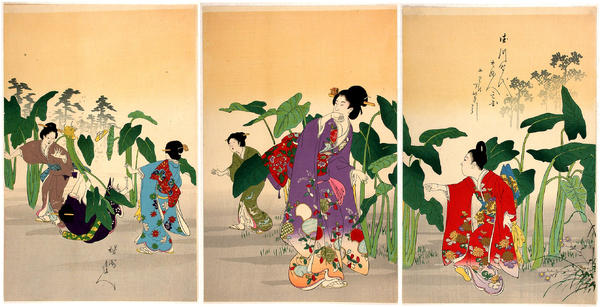 Harvest of roots