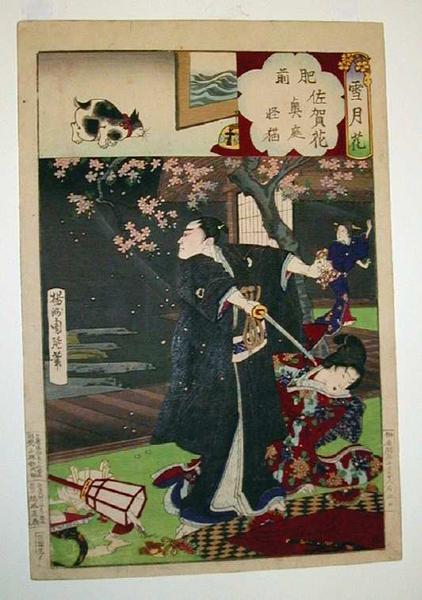 Hizen Province - Saga flowers and mysterious cat of the inner garden