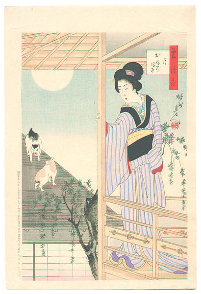 Cats on the Roof