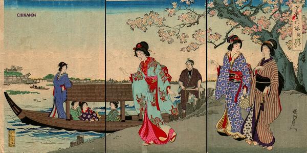 Cherry blossoms Sumida River
