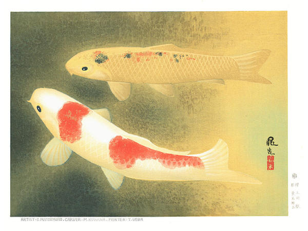 Carp in Golden Pond