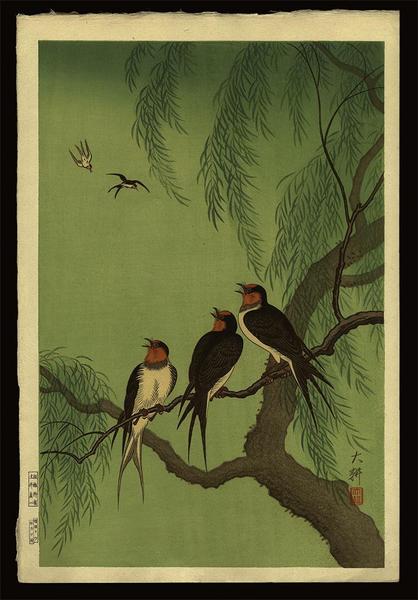 Swallows Perched on a Willow Branch