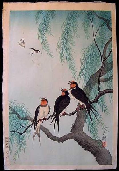 Swallows Perched on a Willow Branch