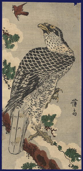 Eagle on a Snowy Pine Branch