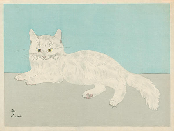 A white Persian cat