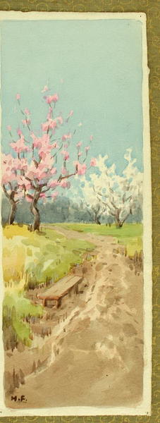 Cherry Trees in Spring