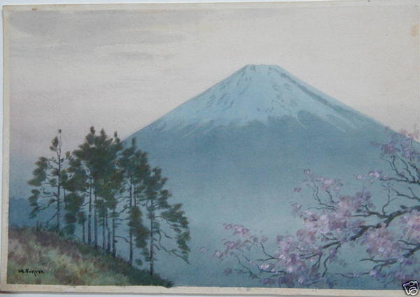 Mt Fuji in Spring