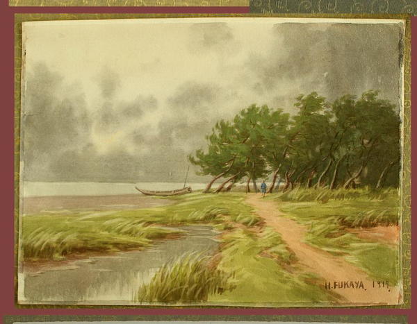 River and Pine Trees on a Windy Day