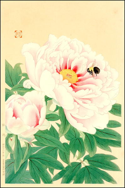 Peony and Bee