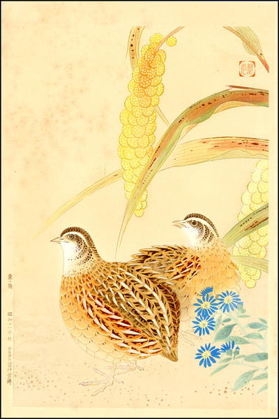Quail & Grasses