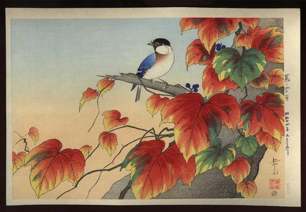 Japanese Ivy and Titmouse